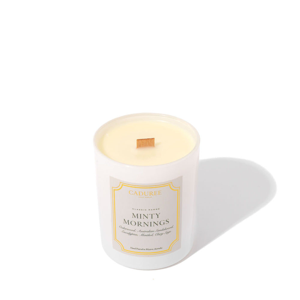 
                  
                    Classic Range Candle - Minty Mornings
                  
                